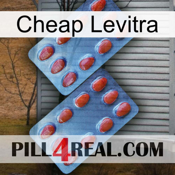 Cheap Levitra 05.jpg